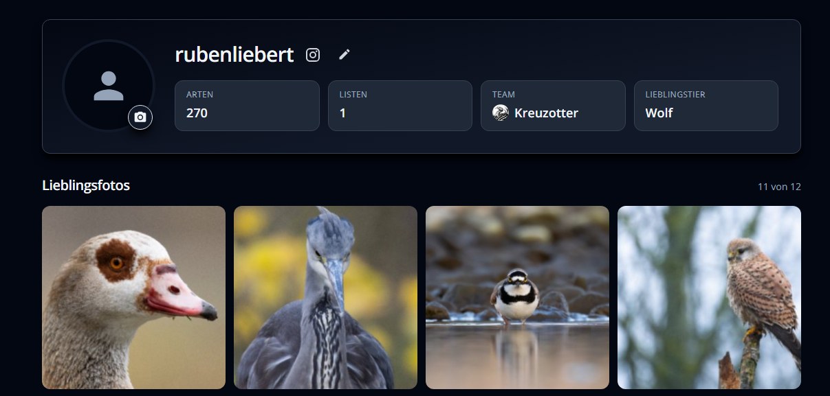Profilseite mit Profilbild, Statistiken und Fotoraster