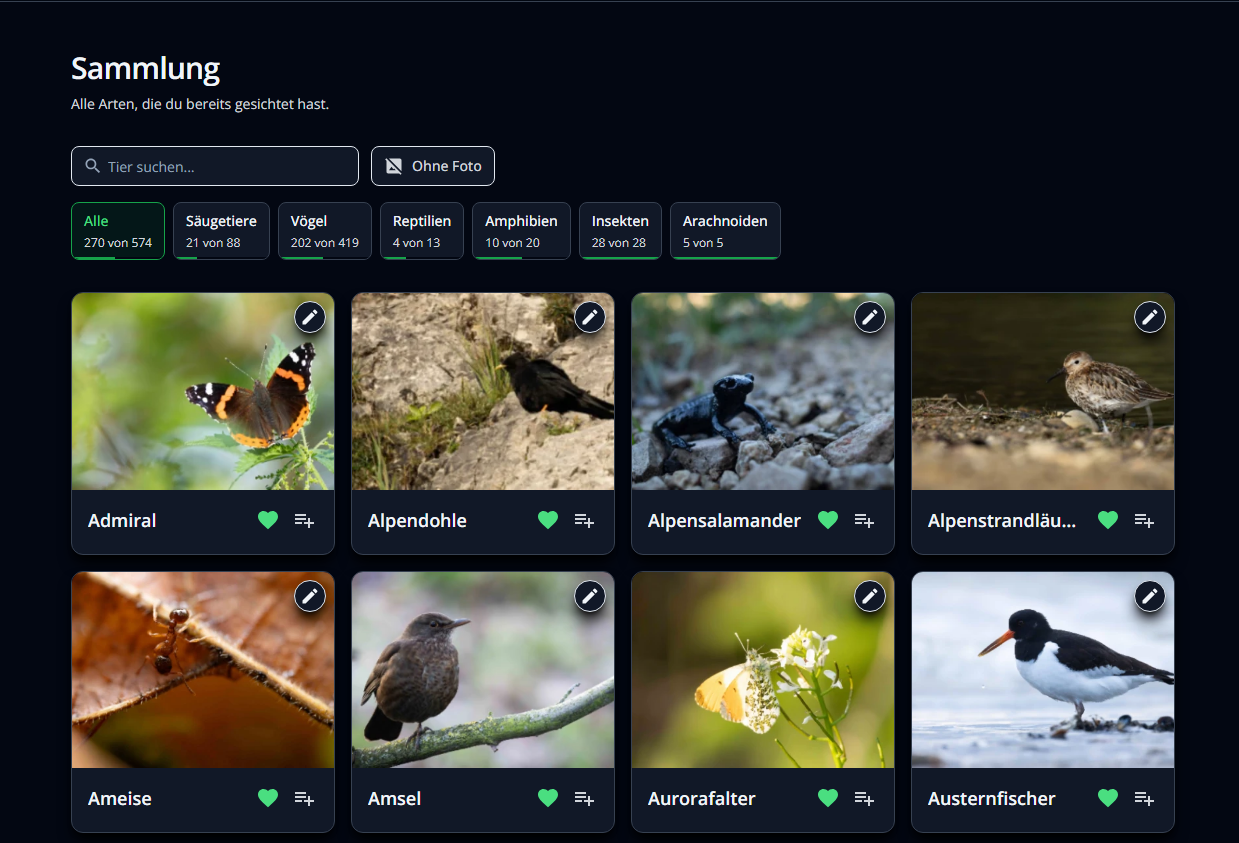 Sammlungsansicht mit eigenen Tierfotos
